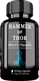 Kapsule Hammer of Thor